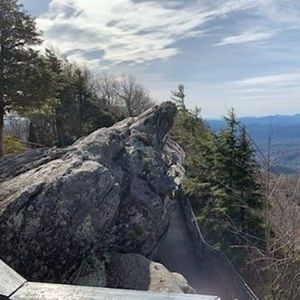 Meet your Posher, Bridgett